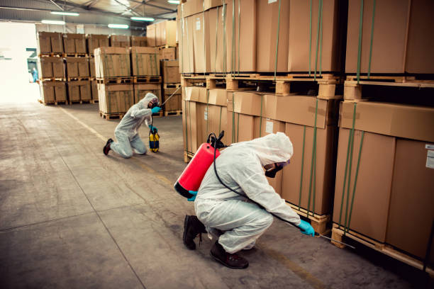 Best Cockroach Control Services  in Basalt, CO