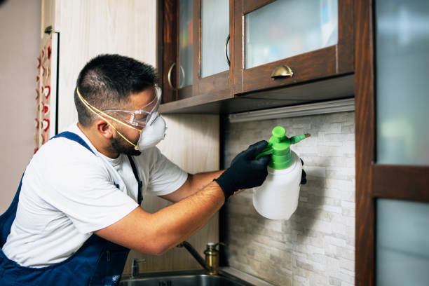 Best Best Pest Control Companies  in Basalt, CO