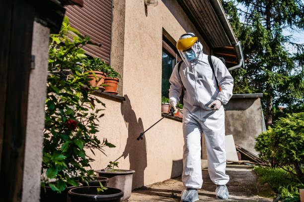 Reliable Basalt, CO Pest Control Solutions