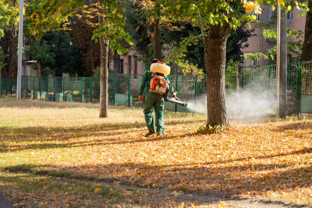 Best Exterminator Services  in Basalt, CO
